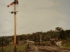 tg14