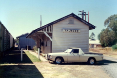 Talwood