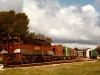 ta09