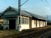 theebine_0002