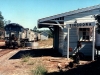 Tingoora_0004