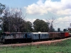 Tingoora_0005