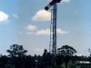 Tingoora_0006