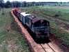 Tingoora_0008