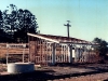 Tingoora_0009