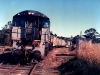 Tingoora_0010