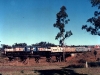 Tingoora_0011