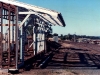 Tingoora_0012