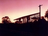 Tingoora_0013