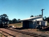 Tingoora_0016