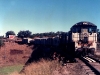 Tingoora_0018