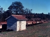 Tingoora_0019