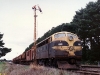 ta04