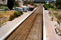 Wallendbeen