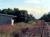 Wal_001