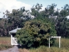 Wal_002
