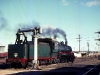 b18-866-watering-at-warwick-240765
