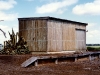 Cream shed