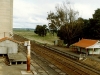 View east