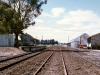 yard looking west
