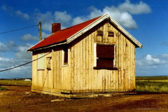 Wingeel