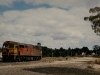 wg10