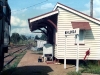 Woolooga_0002