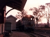 Woolooga_0005