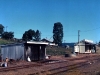 Woolooga_0015