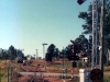 Woolooga_0016