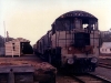 Wooroolin_0005