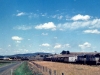 wy18