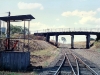 wy19