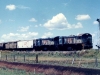 wy20