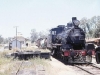 c17-917-yarraman-291169