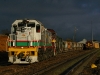 ys29
